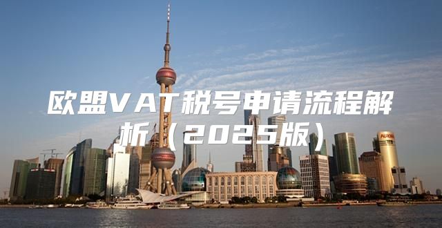 欧盟VAT税号申请流程解析2025版