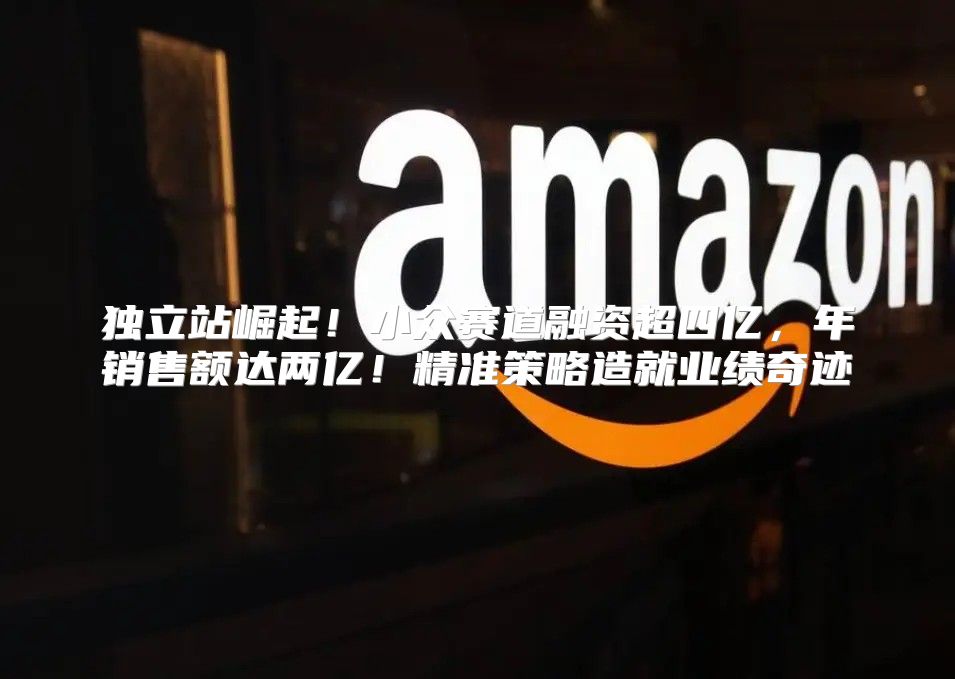 独立站崛起！小众赛道融资超四亿，年销售额达两亿！精准策略造就业绩奇迹