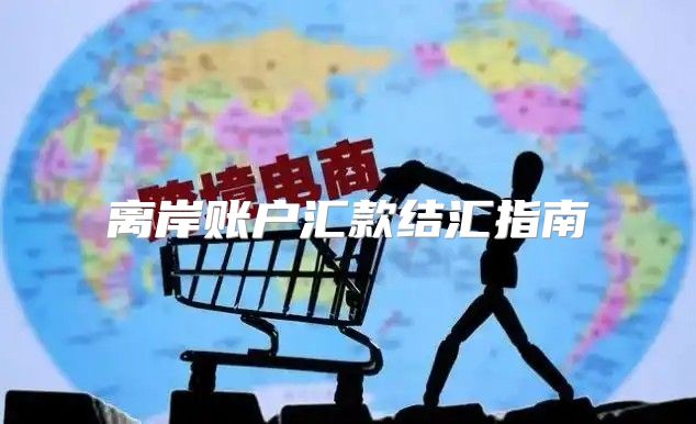 离岸账户汇款结汇指南