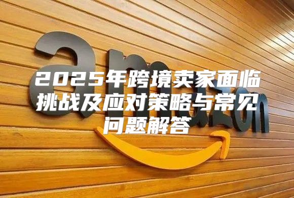 2025年跨境卖家面临挑战及应对策略与常见问题解答