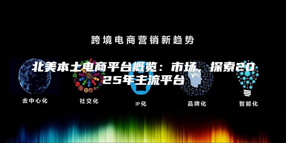 北美本土电商平台概览：市场，探索2025年主流平台