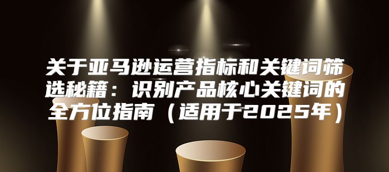 关于亚马逊运营指标和关键词筛选秘籍：识别产品核心关键词的全方位指南适用于2025年