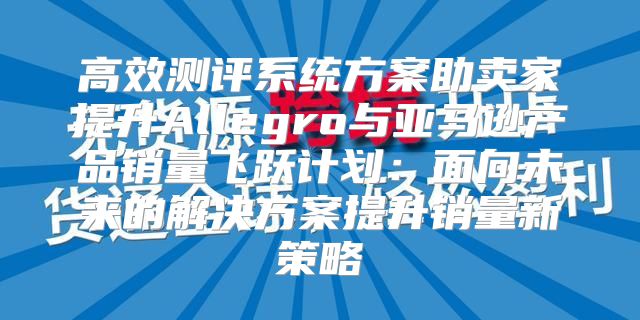高效测评系统方案助卖家提升Allegro与亚马逊产品销量飞跃计划：面向未来的解决方案提升销量新策略
