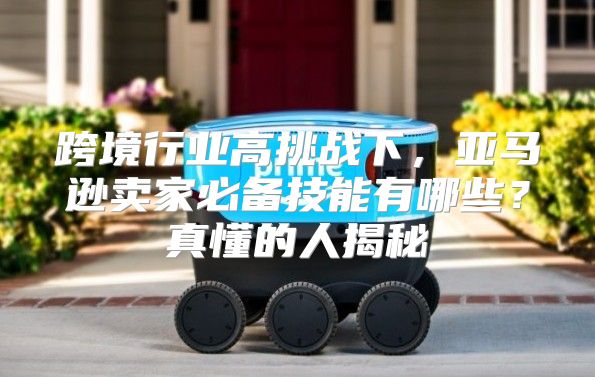 跨境行业高挑战下，亚马逊卖家必备技能有哪些？真懂的人揭秘