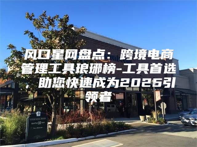 风口星网盘点：跨境电商管理工具琅琊榜-工具首选，助您快速成为2025引领者