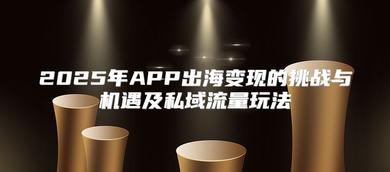 2025年APP出海变现的挑战与机遇及私域流量玩法