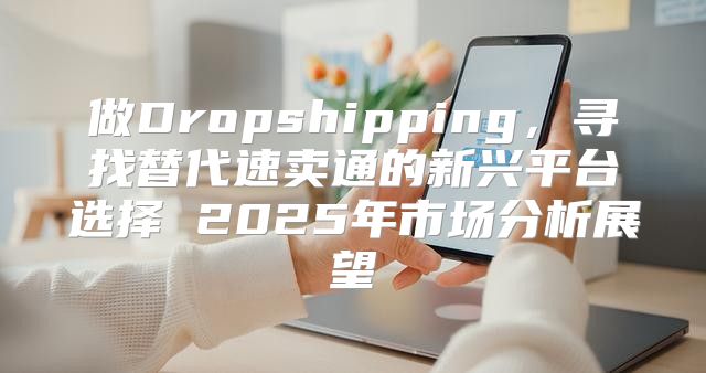 做Dropshipping，寻找替代速卖通的新兴平台选择 2025年市场分析展望