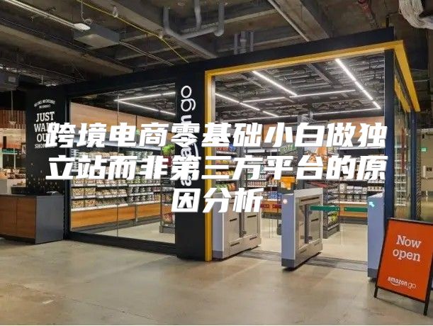 跨境电商零基础小白做独立站而非第三方平台的原因分析