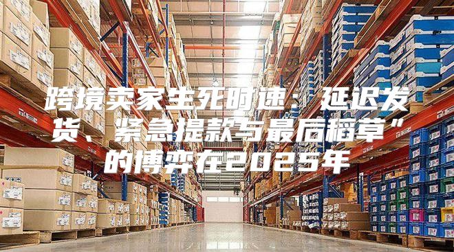跨境卖家生死时速：延迟发货、紧急提款与最后稻草”的博弈在2025年