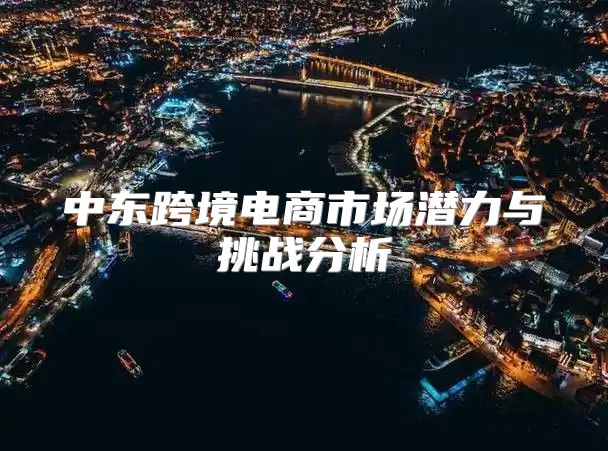 中东跨境电商市场潜力与挑战分析