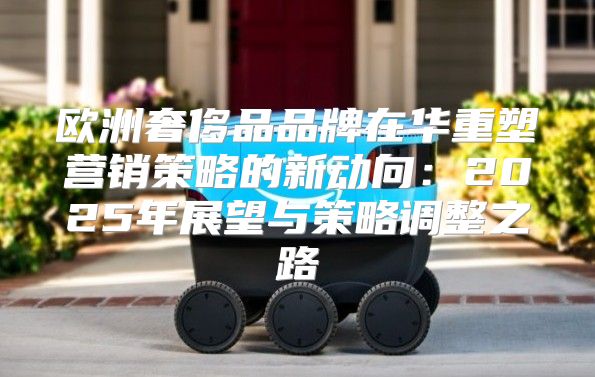 欧洲奢侈品品牌在华重塑营销策略的新动向：2025年展望与策略调整之路