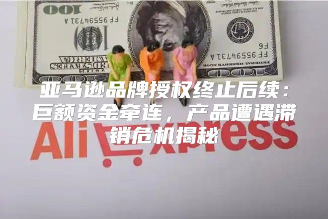 亚马逊品牌授权终止后续：巨额资金牵连，产品遭遇滞销危机揭秘