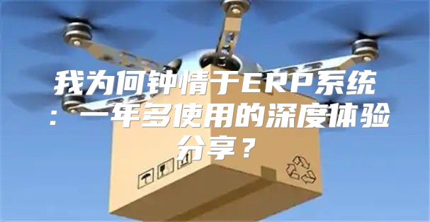 我为何钟情于ERP系统：一年多使用的深度体验分享？