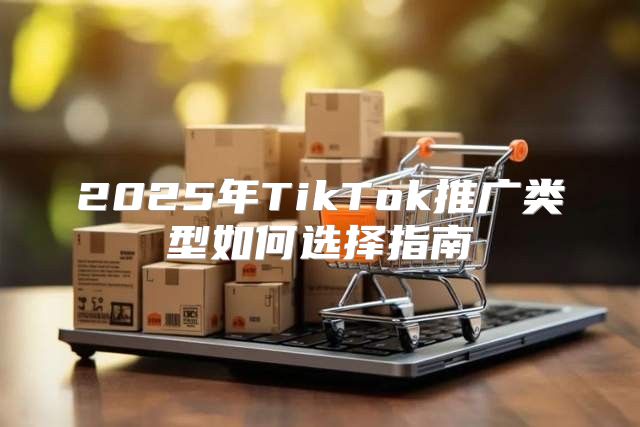 2025年TikTok推广类型如何选择指南