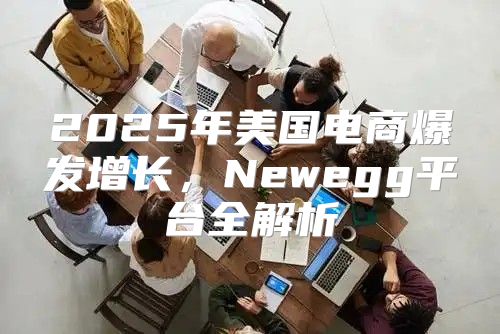 2025年美国电商爆发增长，Newegg平台全解析