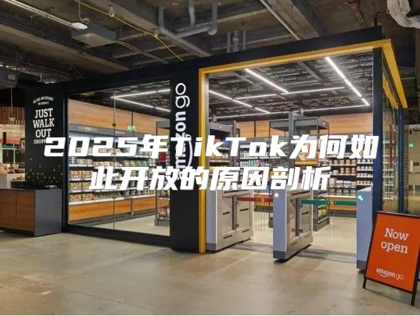 2025年TikTok为何如此开放的原因剖析