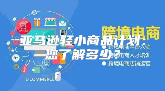 亚马逊轻小商品计划：您了解多少？