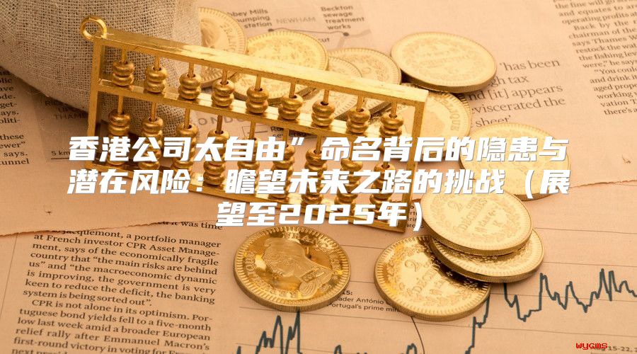香港公司太自由”命名背后的隐患与潜在风险：瞻望未来之路的挑战展望至2025年