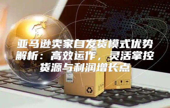 亚马逊卖家自发货模式优势解析：高效运作，灵活掌控货源与利润增长点