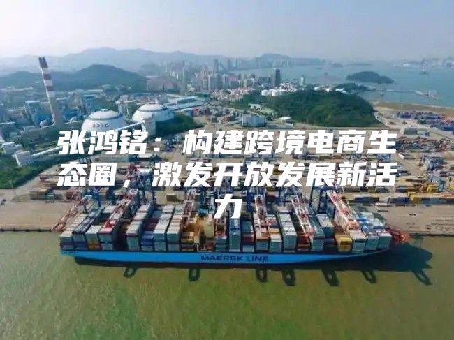 张鸿铭：构建跨境电商生态圈，激发开放发展新活力