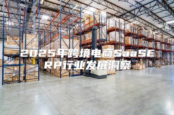 2025年跨境电商SaaSERP行业发展洞察