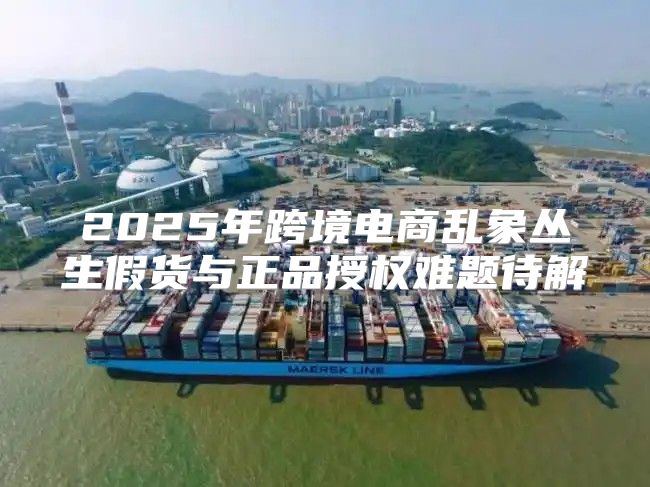 2025年跨境电商乱象丛生假货与正品授权难题待解