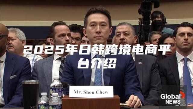 2025年日韩跨境电商平台介绍