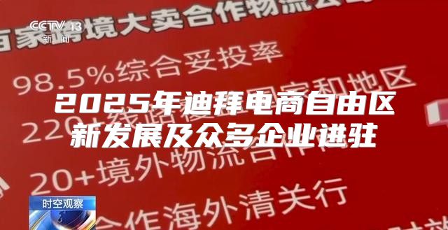 2025年迪拜电商自由区新发展及众多企业进驻