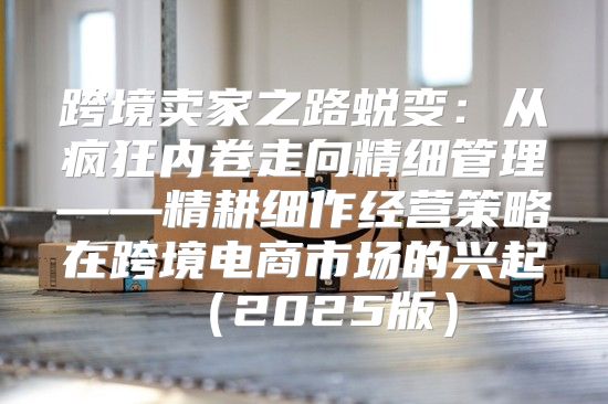 跨境卖家之路蜕变：从疯狂内卷走向精细管理——精耕细作经营策略在跨境电商市场的兴起2025版