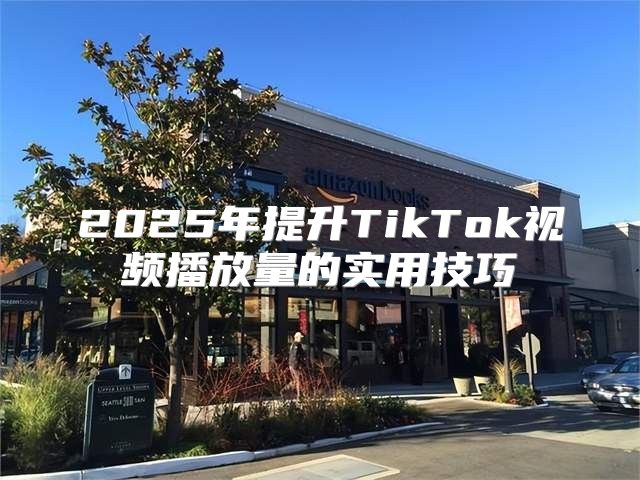 2025年提升TikTok视频播放量的实用技巧