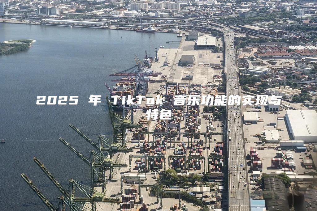 2025 年 TikTok 音乐功能的实现与特色