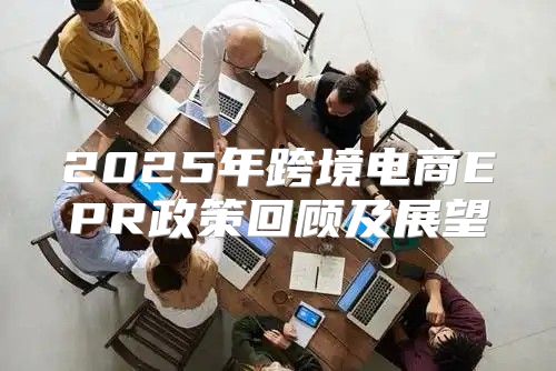 2025年跨境电商EPR政策回顾及展望