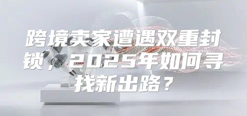 跨境卖家遭遇双重封锁，2025年如何寻找新出路？