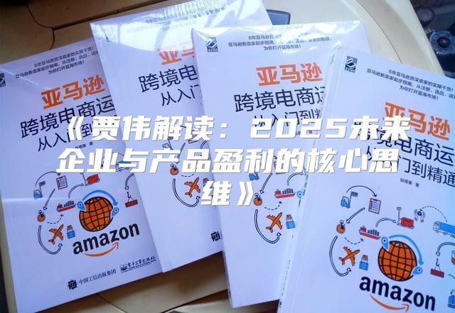 贾伟解读：2025未来企业与产品盈利的核心思维