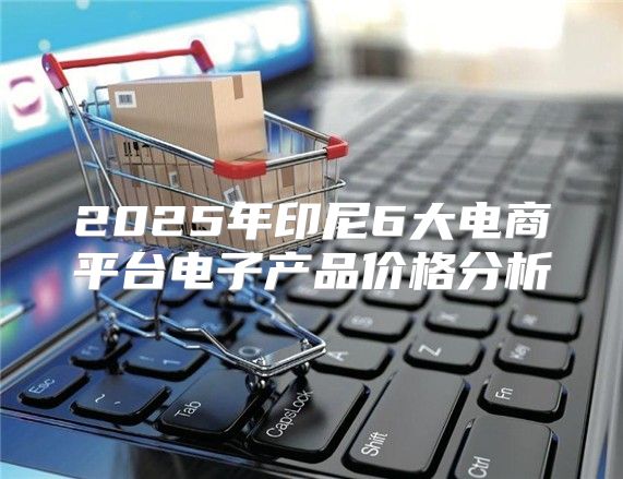 2025年印尼6大电商平台电子产品价格分析