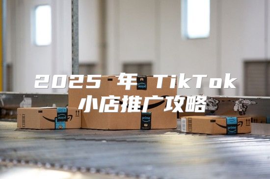 2025 年 TikTok 小店推广攻略