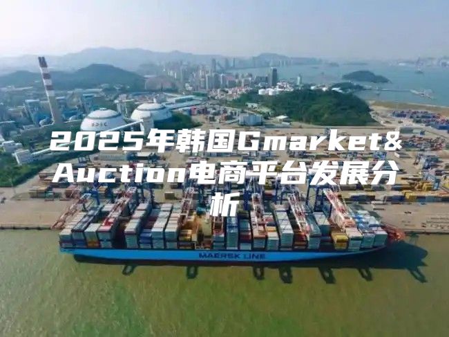 2025年韩国Gmarket&Auction电商平台发展分析