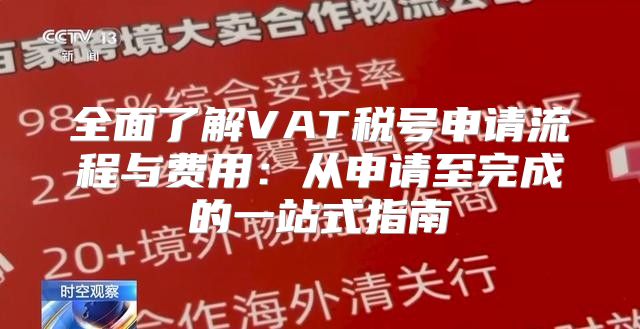 全面了解VAT税号申请流程与费用：从申请至完成的一站式指南