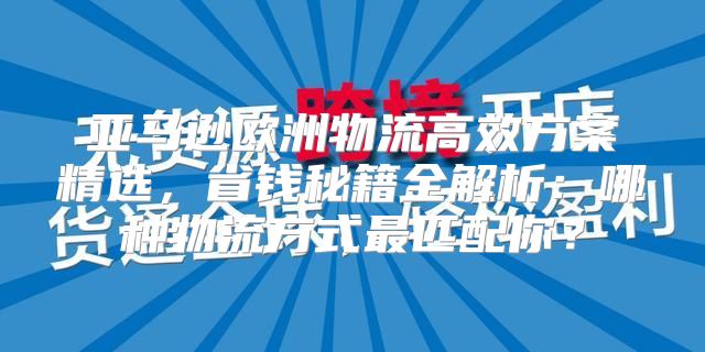 亚马逊欧洲物流高效方案精选，省钱秘籍全解析：哪种物流方式最匹配你？