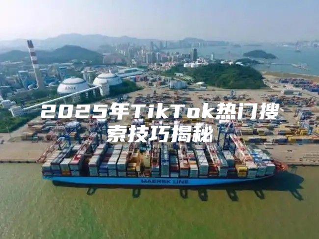 2025年TikTok热门搜索技巧揭秘