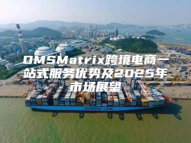 DMSMatrix跨境电商一站式服务优势及2025年市场展望