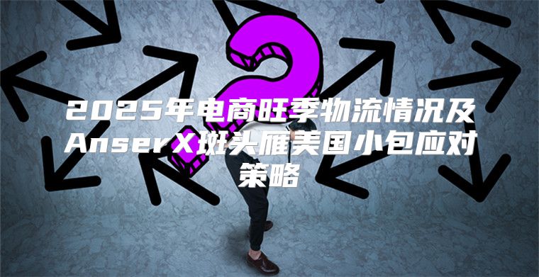 2025年电商旺季物流情况及AnserX斑头雁美国小包应对策略