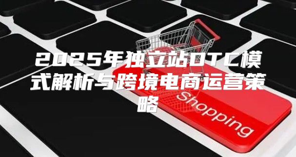 2025年独立站DTC模式解析与跨境电商运营策略