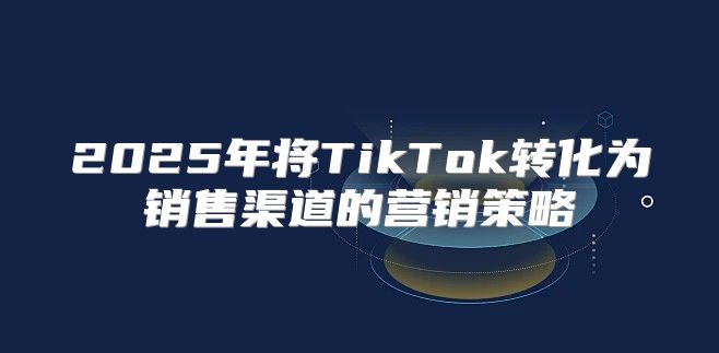 2025年将TikTok转化为销售渠道的营销策略