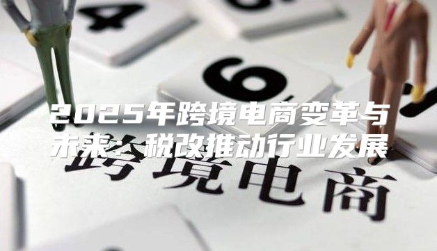 2025年跨境电商变革与未来：税改推动行业发展
