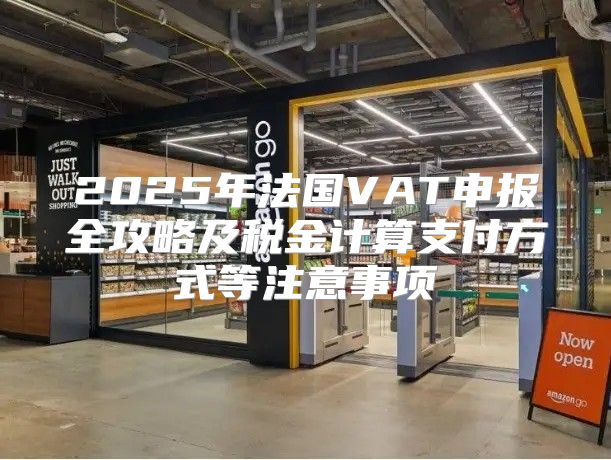 2025年法国VAT申报全攻略及税金计算支付方式等注意事项