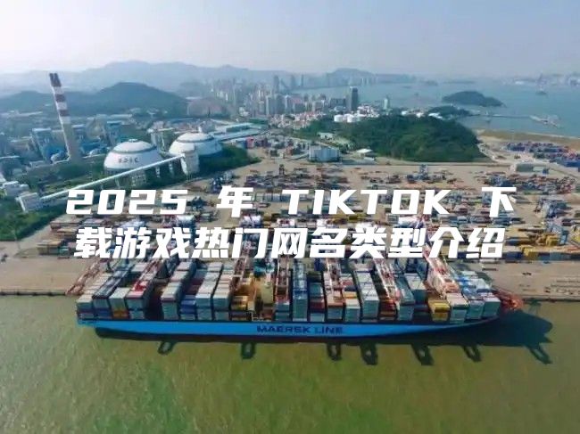 2025 年 TIKTOK 下载游戏热门网名类型介绍