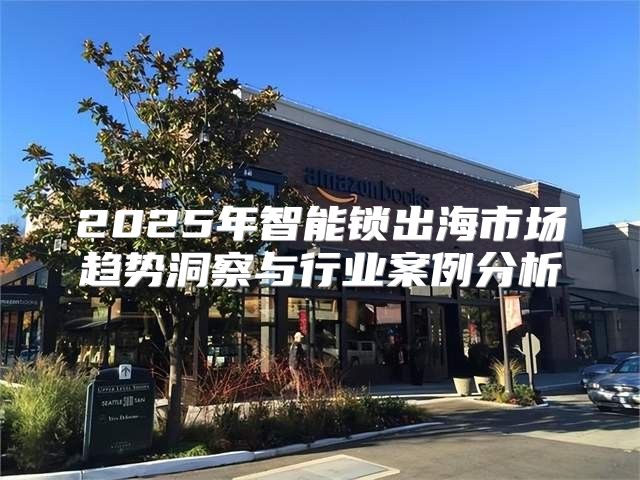 2025年智能锁出海市场趋势洞察与行业案例分析