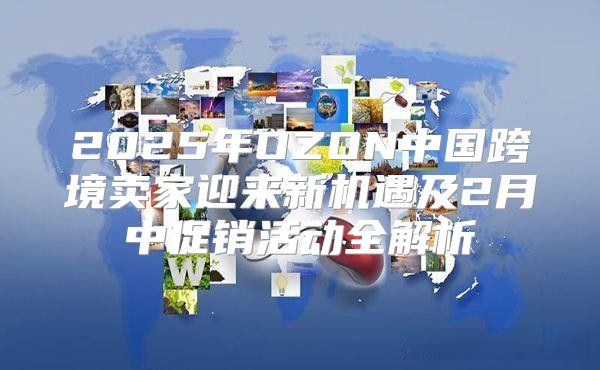 2025年OZON中国跨境卖家迎来新机遇及2月中促销活动全解析