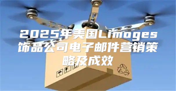 2025年美国Limoges饰品公司电子邮件营销策略及成效